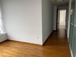 The Trizon (D10), Condominium #498327671